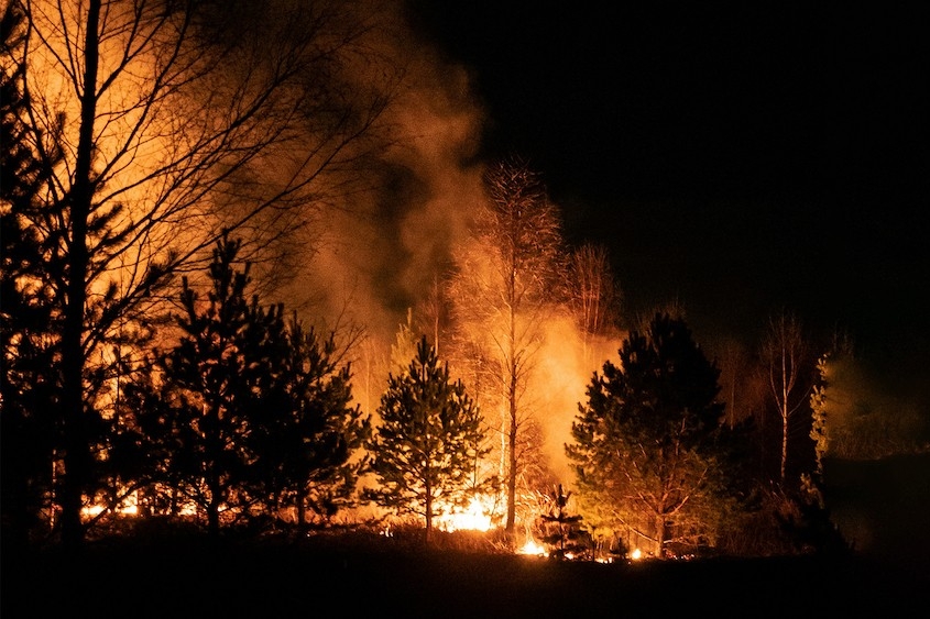 Wildfire