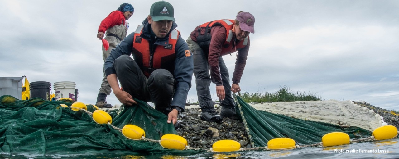 Protecting Canada’s aquatic ecosystems