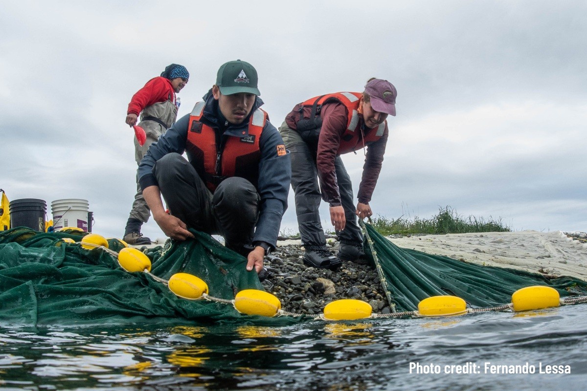 Protecting Canada’s aquatic ecosystems