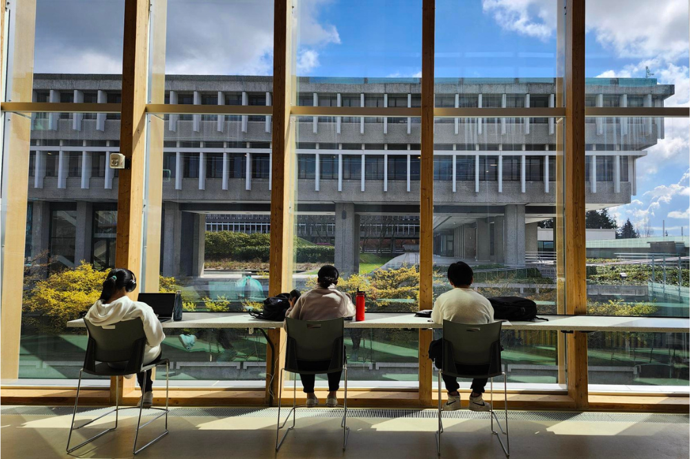Image: students studying