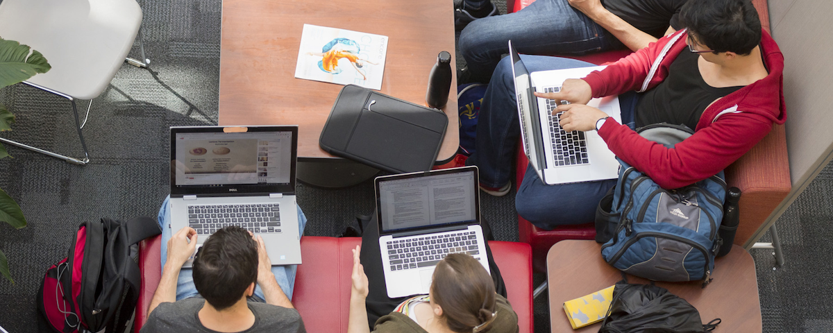 Image: SFU students studying